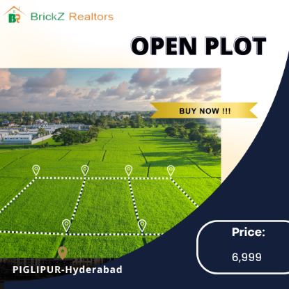 Picture of Open Plot-PIGLIPUR-Hyderabad