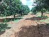 Picture of Farm Land for Sale at BHEEMARAM, SHADNAGAR-HYDERABAD