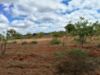 Picture of Farm Land for Sale at BHEEMARAM, SHADNAGAR-HYDERABAD