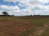 Picture of Farm Land for Sale at BHEEMARAM, SHADNAGAR-HYDERABAD