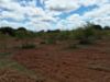 Picture of Farm Land for Sale at BHEEMARAM, SHADNAGAR-HYDERABAD