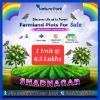 Picture of Farm Land for Sale at BHEEMARAM, SHADNAGAR-HYDERABAD