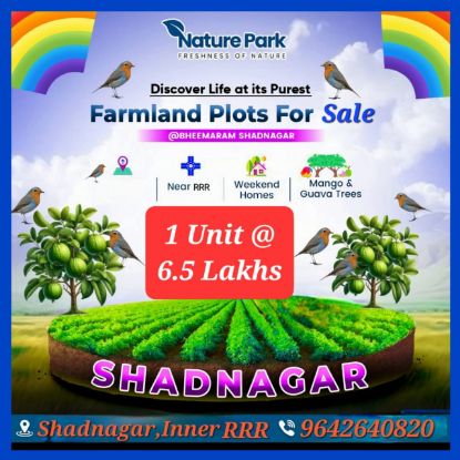 Picture of Farm Land for Sale at BHEEMARAM, SHADNAGAR-HYDERABAD