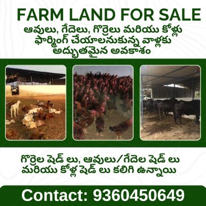 Picture of FARM FOR SALE AT VELDANDA-Nagarkurnool-Telangana