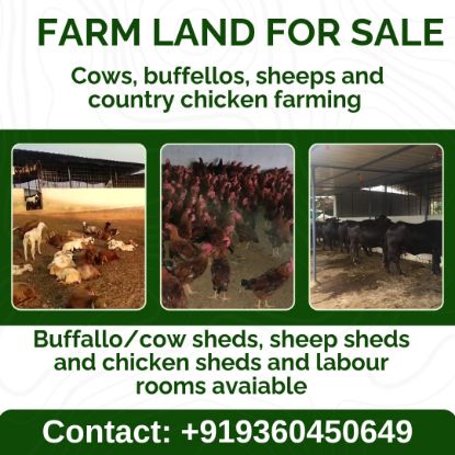 Picture of FARM FOR SALE AT VELDANDA-Nagarkurnool-Telangana