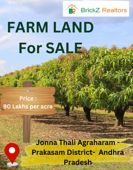 Picture of Farm Land for Sale at Jonna Thali Agraharam - Prakasam district-  Andhra Pradesh