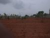 Picture of Luxury 1 Acre Farmhouse Land for Sale in SHAMASHABAD