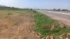 Picture of Open Plot for sale at Kanchikacharla, NTR Distrct , Andhra Pradesh
